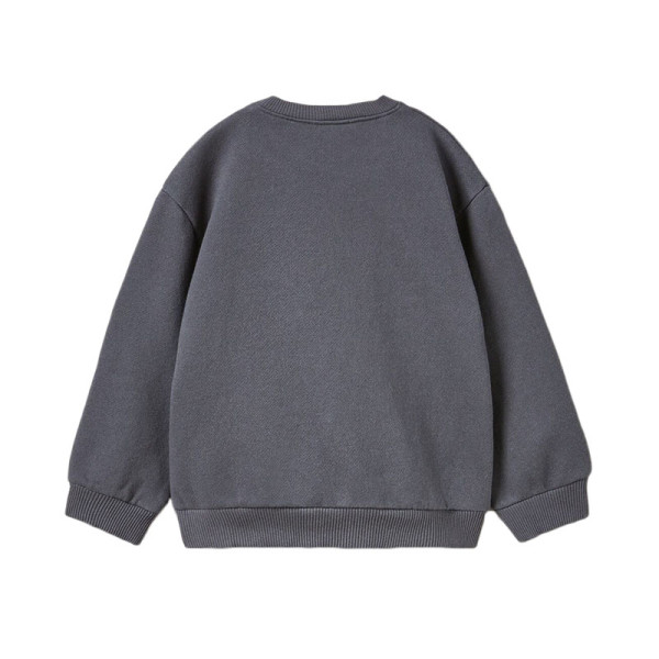 Sweat - ZARA - 4-5 jaar (110)