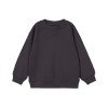 Sweat - ZARA - 3-4 ans (104)