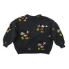 Sweat - ZARA - 4-5 ans (110)